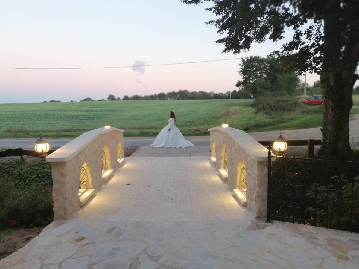 Domaine Des Medards Διαμέρισμα Beaulieu-sur-Loire Εξωτερικό φωτογραφία